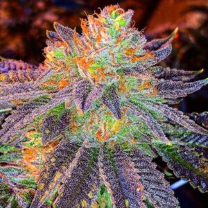 Zkittlez Clones