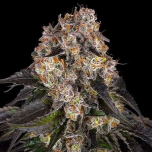 Girl Scout Cookies Clones